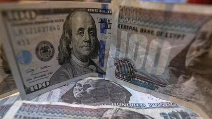 «الدولار يصل إلى مستوى تاريخي وغير مسبوق في مصر».  خبير يكشف لـRT الأسباب