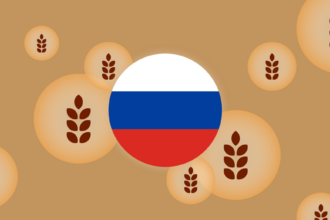 الدول الأفريقية التي حصلت على 200 ألف طن من الحبوب الروسية المجانية