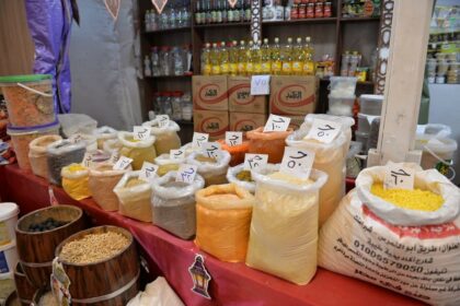 التنمية المحلية تتابع تنفيذ مبادرة خفض أسعار السلع الغذائية في محافظة الدقهلية.. صور