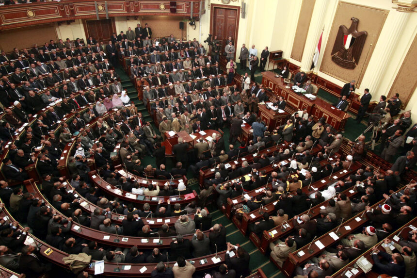 برلماني يهاجم الحكومة في مصر: