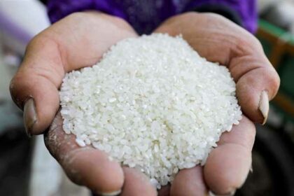أسعار الأرز الأبيض اليوم الأحد بعد التراجع الجماعي للسلع الأساسية