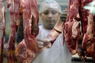تراجع كبير في أسعار اللحوم والفراخ بالأسواق.. وكرتونة البيض رسميا بـ 145 جنيها