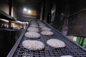 خلال حملات تموينية.. ضبط 12 مخبزا لإنتاجهما خبزا ناقص الوزن بالبحيرة
