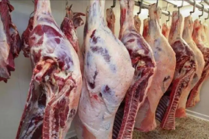 أسعار اللحوم في وزارة الزراعة