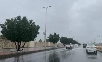 الأرصاد: الأجواء مهيئة لسقوط الأمطار في القاهرة والوجه البحري