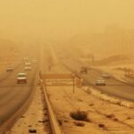 الأرصاد تعلن مفاجأة حول انتشار «الذباب الصحراوي» في مصر بسبب رياح الخماسين