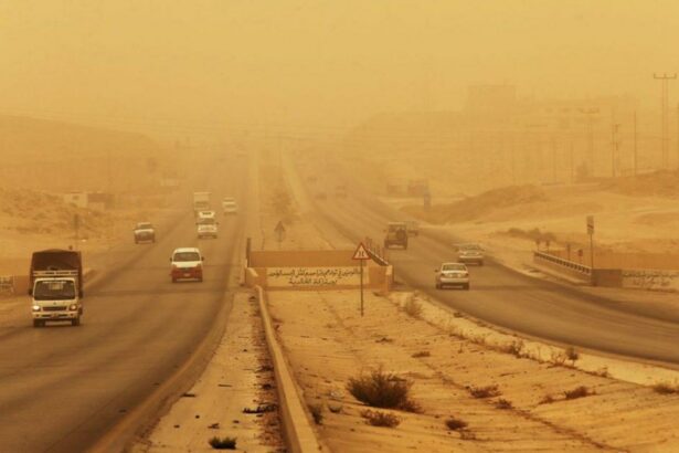 الأرصاد تعلن مفاجأة حول انتشار «الذباب الصحراوي» في مصر بسبب رياح الخماسين