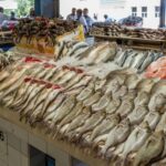 مقاطعة الأسماك.. المأكولات البحرية تثير أزمة بعد ارتفاع أسعارها