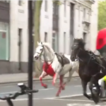 ذعر في لندن.. خيول الجيش تهرب في الشارع وتتسبب في إصابات