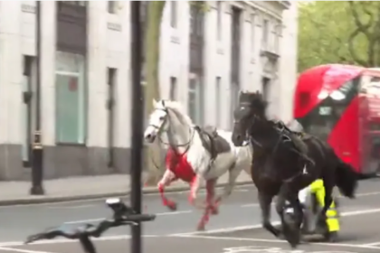 ذعر في لندن.. خيول الجيش تهرب في الشارع وتتسبب في إصابات
