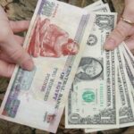 عميد تجارة الإسكندرية: السيطرة على سعر الصرف يزيد من فرص الاستثمار