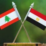 لبنان يصدر قرارا بشأن منتجات مصرية