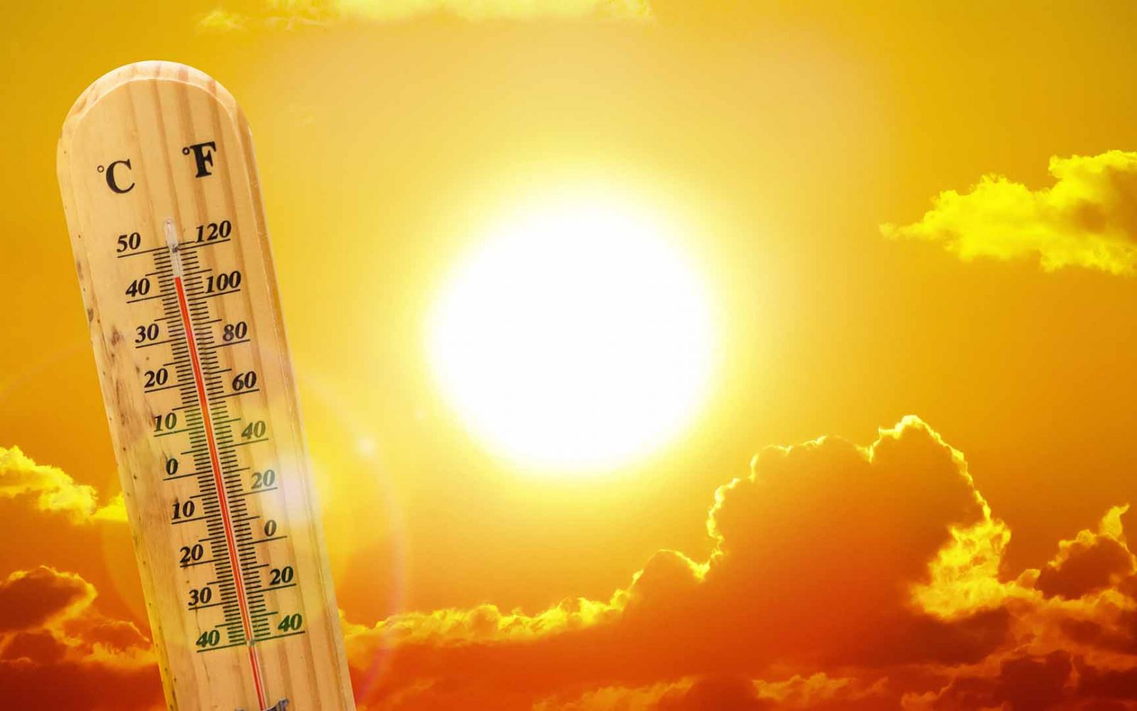للمرة الأولى في 2024.. العظمى اليوم تسجل أكبر درجة حرارة بالقاهرة والمحافظات