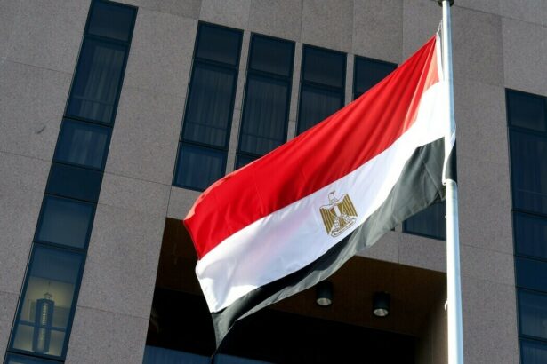 مصر.. الكشف عن أكبر قضية احتيال على بنوك