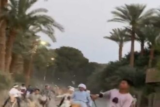 قرية مصرية تشهد سباقاً فريداً من نوعه لا يتكرر في العالم - بوابة البلد
