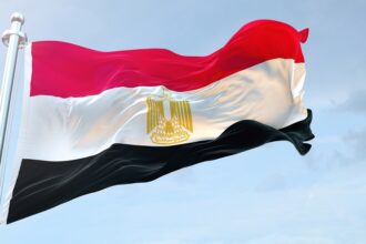 وفقا لوزيرة الخارجية الجنوب أفريقية، انضمام مصر إلى الدعوى ضد إسرائيل يسهم في تعزيز القضية الفلسطينية - بوابة البلد