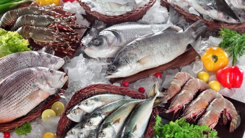 جديد أسعار الأسماك اليوم الخميس بعد المقاطعة - بوابة البلد