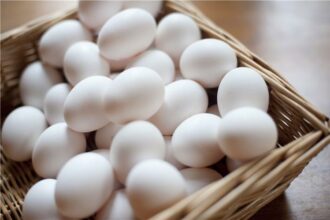 تكشف شعبة بيض المائدة عن مصير الأسعار خلال أيام شم النسيم وتعلن عن بشرى سارة في هذا التوقيت - بوابة البلد