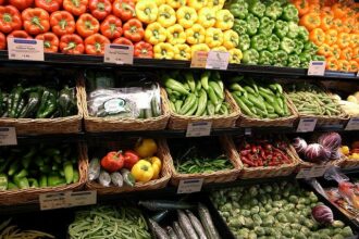 تسعيرة الخضروات والفواكه اليوم الجمعة في سوق العبور - بوابة البلد