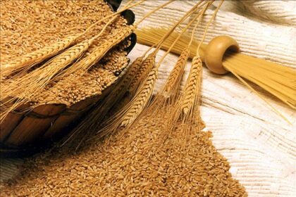 أسعار القمح عالميا: البوشل يسجل 621 دولارا - بوابة البلد